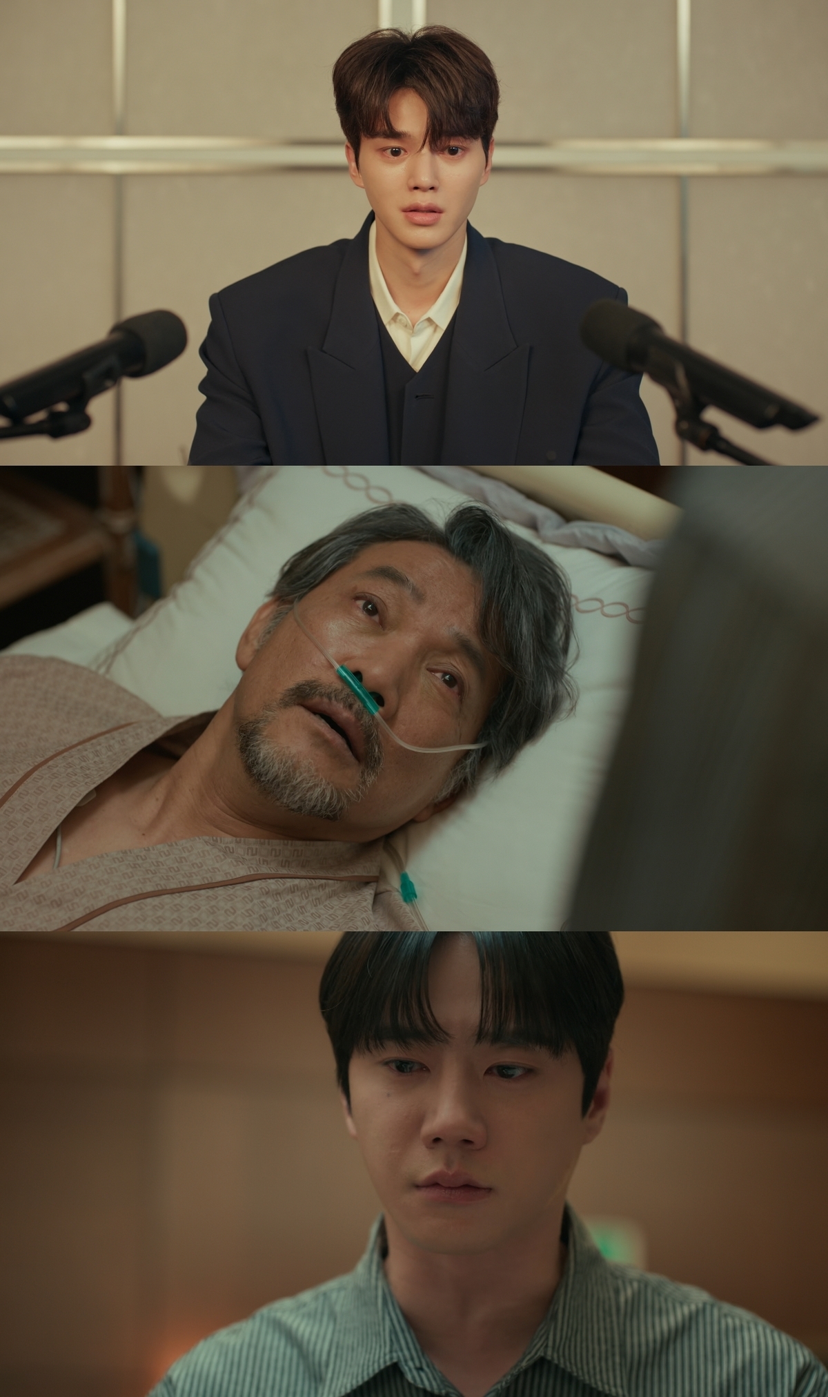  - Ảnh 1.