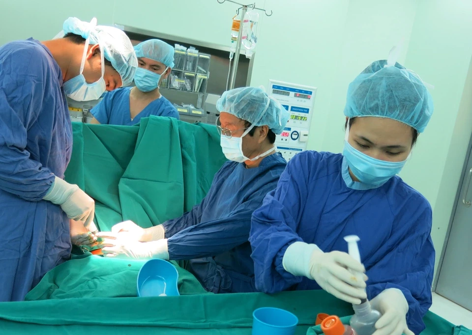  - Ảnh 2.