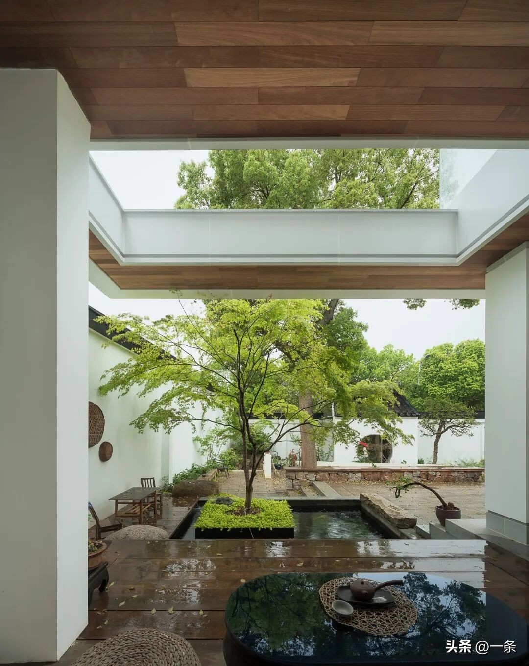 Mẹ 85 tuổi sống một m&igrave;nh trong nh&agrave; tổ suốt 7 năm, con trai quyết b&aacute;n nh&agrave; th&agrave;nh phố để trở về: C&aacute;i kết khiến căn nh&agrave; 1.000m&sup2; &ldquo;sống lại&rdquo; - Ảnh 2.