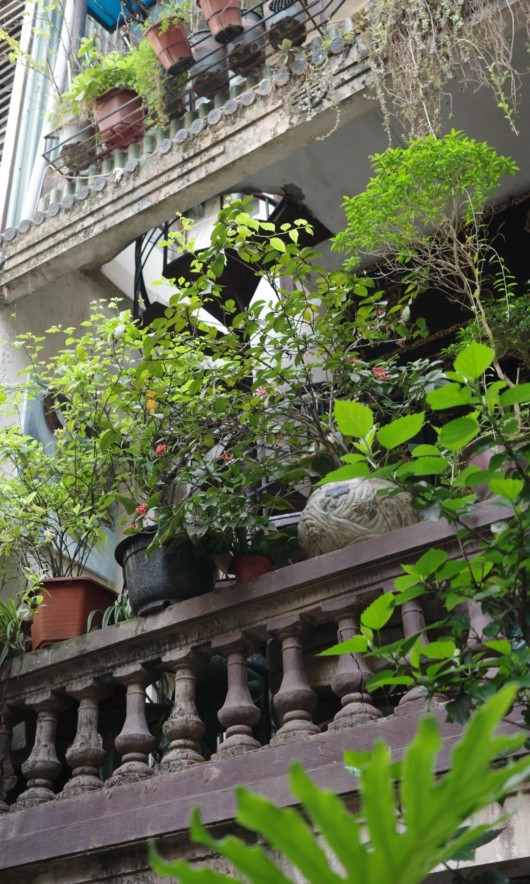 Kh&aacute;m ph&aacute; Caf&eacute; phố Cổ ẩn m&igrave;nh giữa phố Cổ H&agrave; Nội với kh&ocirc;ng gian đậm chất &Aacute; Đ&ocirc;ngQu&aacute;n c&agrave; ph&ecirc; &ldquo;ẩn m&igrave;nh&rdquo; giữa phố cổ H&agrave; Nội, bước qua một tiệm lụa mới thấy, kh&ocirc;ng gian đậm chất &Aacute; Đ&ocirc;ng khiến kh&aacute;ch Trung m&ecirc; mẩn - Ảnh 12.
