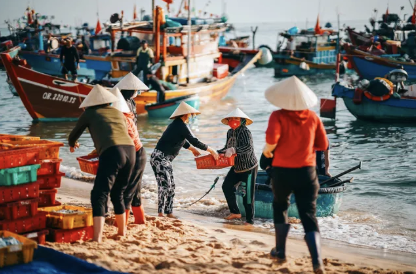 Nước mắm Nh&acirc;n Trạch: H&agrave;nh tr&igrave;nh 50 . 000 L&iacute;t nước mắm thơm ngon từ Quảng Trị - Ảnh 1.