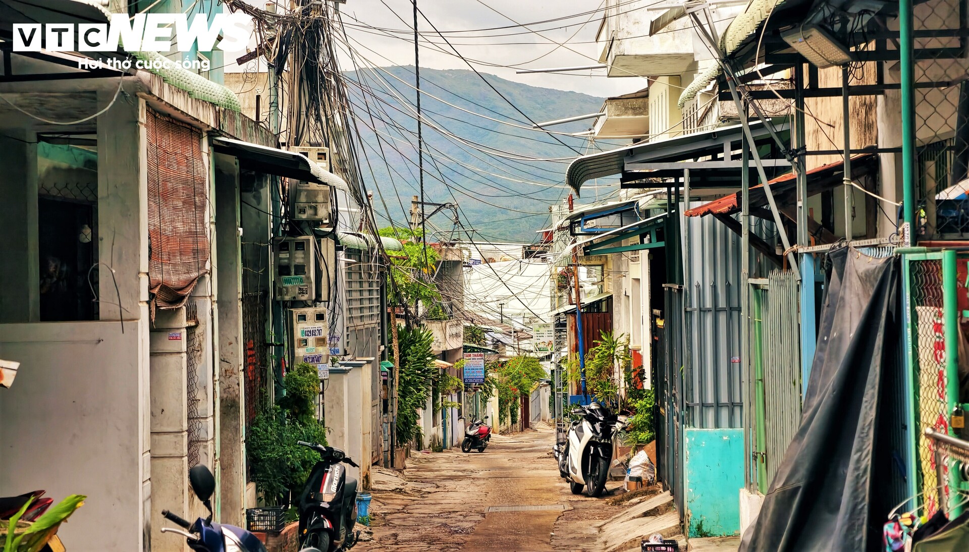 Cuộc sống bấp b&ecirc;nh của 52 hộ d&acirc;n tr&ecirc;n v&aacute;ch n&uacute;i hở h&agrave;m ếch ở Quy Nhơn - Ảnh 12.