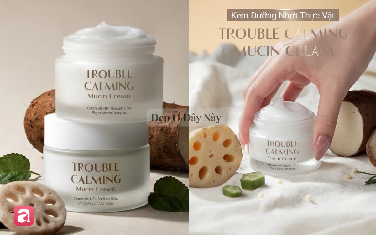 5 kem dưỡng thiên nhiên