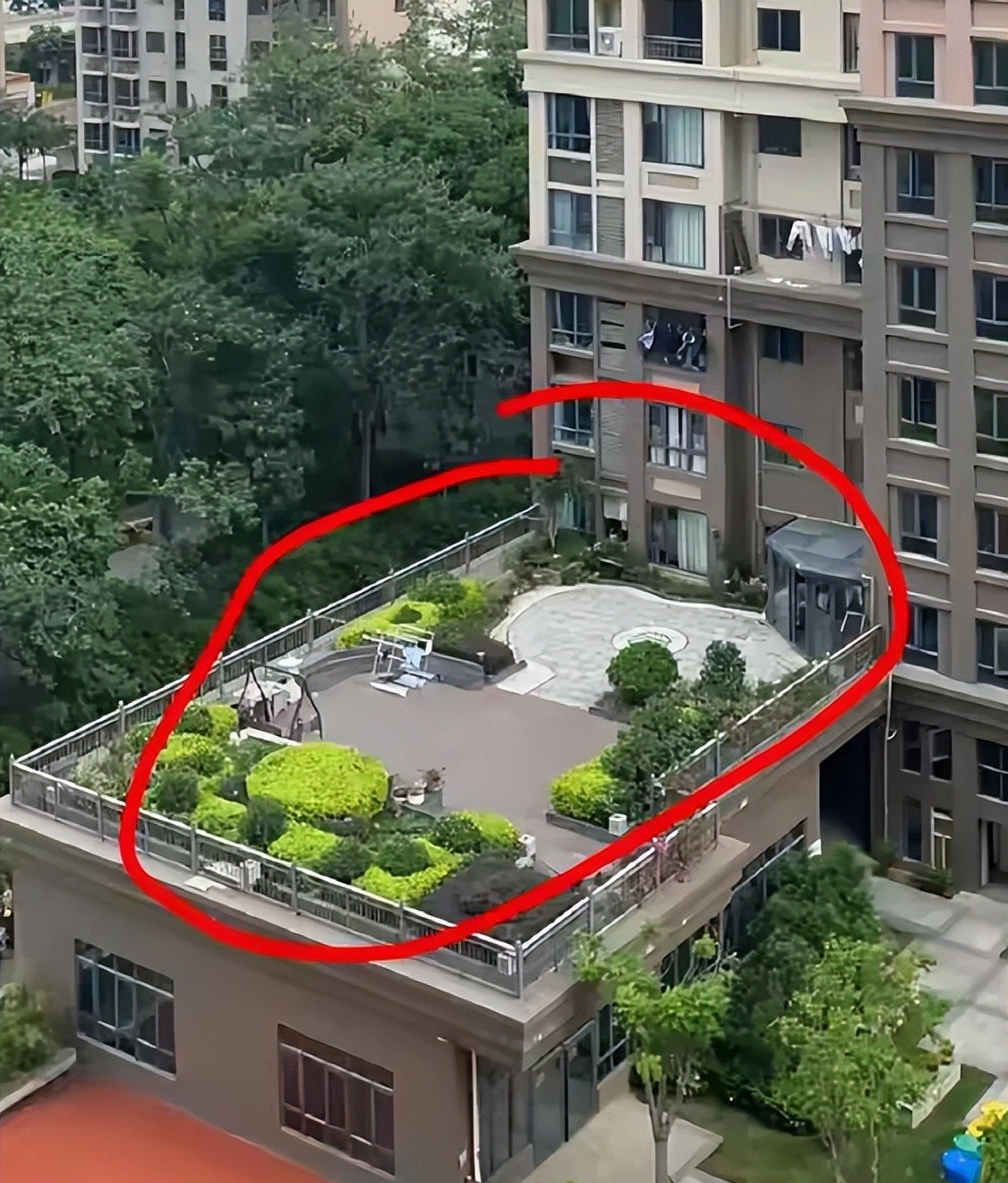 Mua căn hộ tầng thấp được tặng sân rộng, chủ nhà hí hửng làm vườn: 6 tháng sau phải tháo gần hết vì 4 rắc rối này - Ảnh 3.