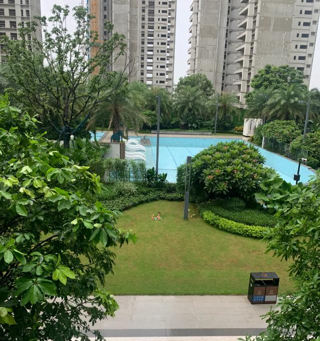 Từ tầng 33 chuyển xuống tầng 4, t&ocirc;i mới hiểu v&igrave; sao nhiều người kh&ocirc;ng c&ograve;n m&ecirc; nh&agrave; thật cao: 4 thay đổi thấy r&otilde; sau khi chuyển - Ảnh 4.