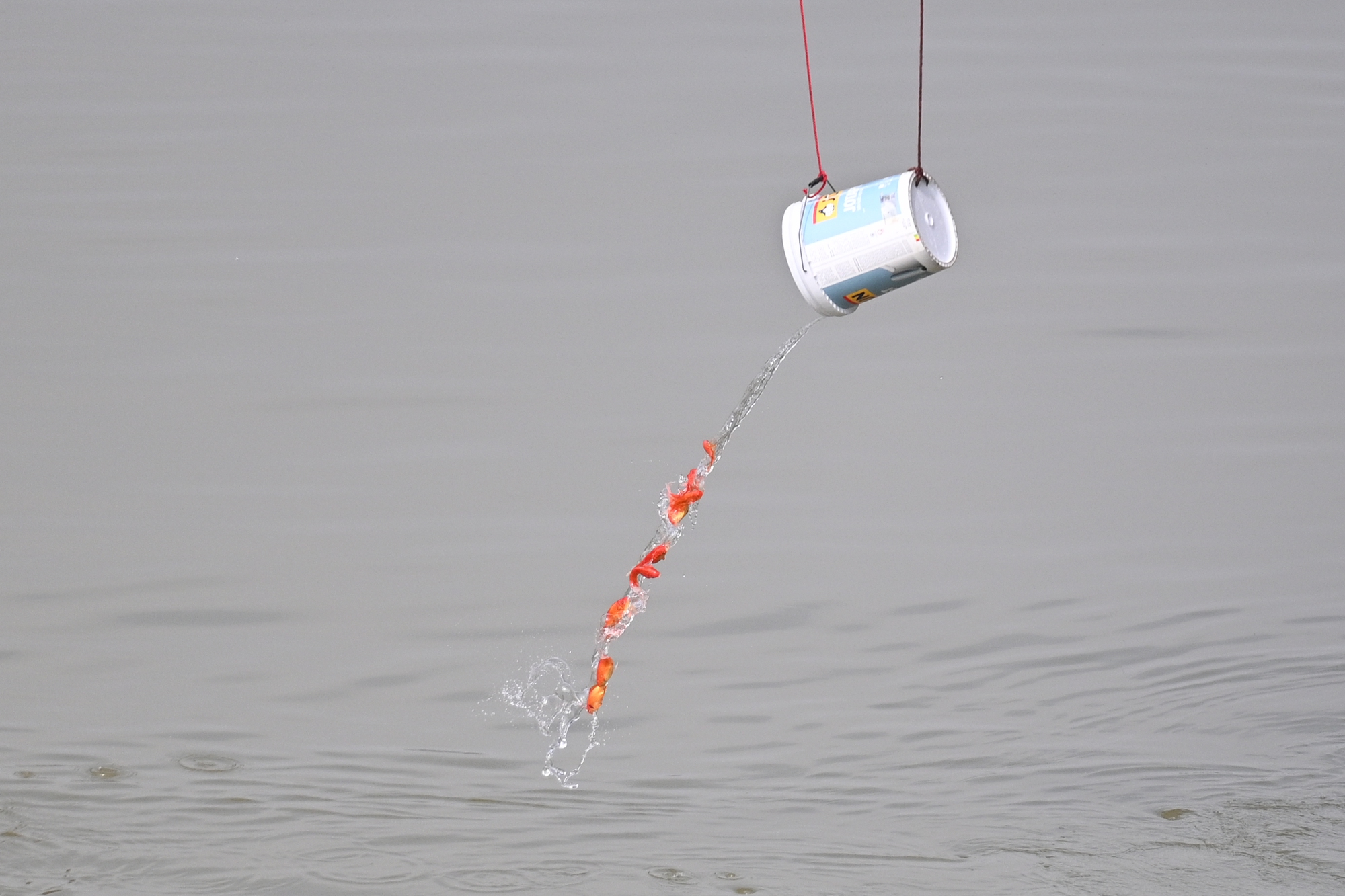 M&iacute;a chằng k&iacute;n xe m&aacute;y, c&aacute; ch&eacute;p đỏ rực bến s&ocirc;ng: TP.HCM - H&agrave; Nội rộn r&agrave;ng tiễn &ocirc;ng C&ocirc;ng &ocirc;ng T&aacute;o ng&agrave;y 23 th&aacute;ng Chạp- Ảnh 16.