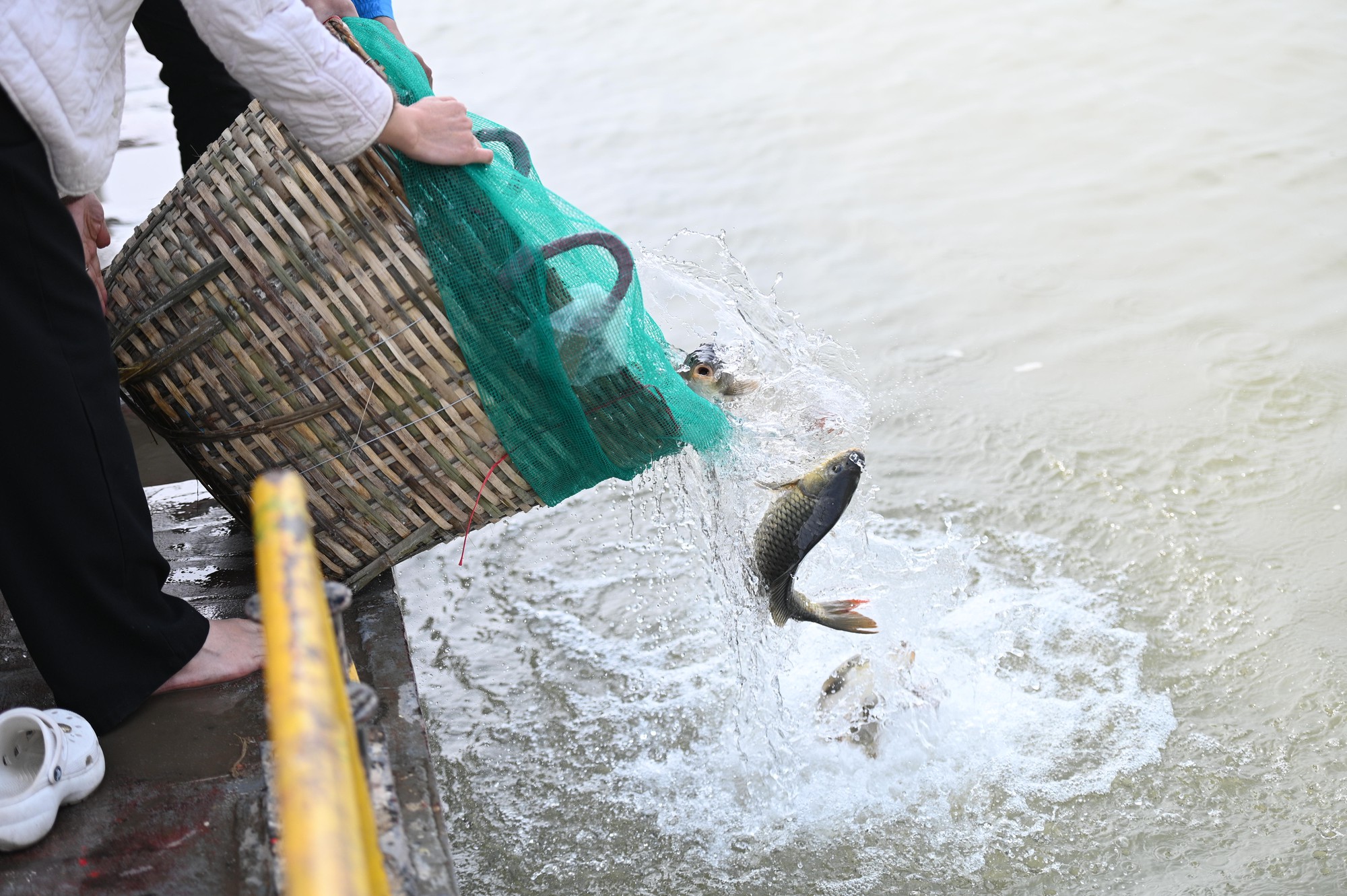 M&iacute;a chằng k&iacute;n xe m&aacute;y, c&aacute; ch&eacute;p đỏ rực bến s&ocirc;ng: TP.HCM - H&agrave; Nội rộn r&agrave;ng tiễn &ocirc;ng C&ocirc;ng &ocirc;ng T&aacute;o ng&agrave;y 23 th&aacute;ng Chạp- Ảnh 8.