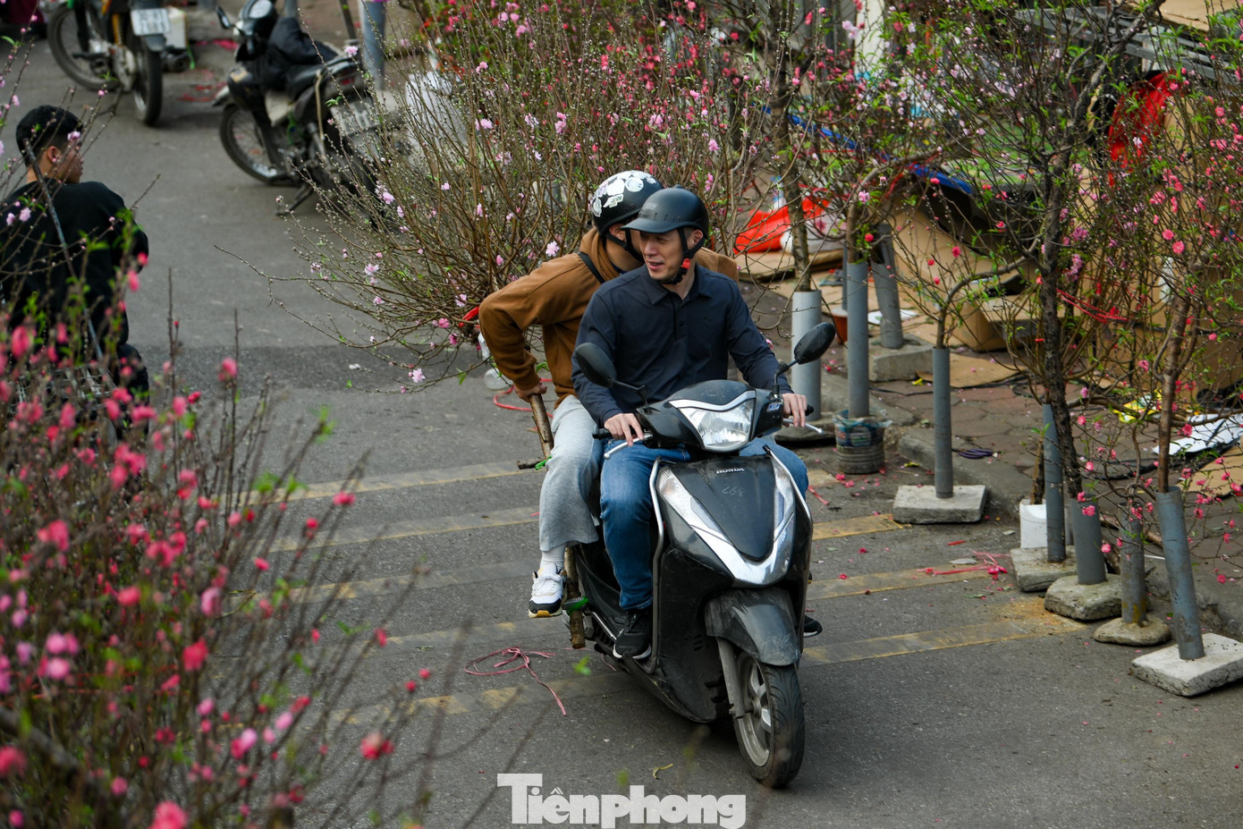 Đ&agrave;o Nhật T&acirc;n nở sớm năm 2026: Kh&aacute;ch thưa thớt, kh&ocirc;ng kh&iacute; Tết trầm lắng - Ảnh 8.