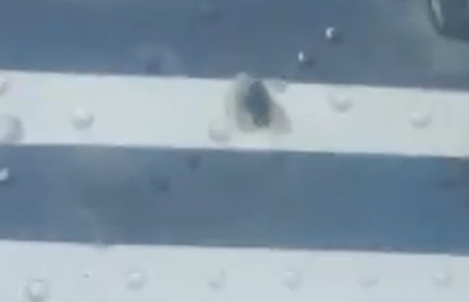 Vụ tấn c&ocirc;ng tại s&acirc;n bay Korowai Batu, Indonesia: Cơ trưởng v&agrave; cơ ph&oacute; bị bắn tử vong - Ảnh 2.