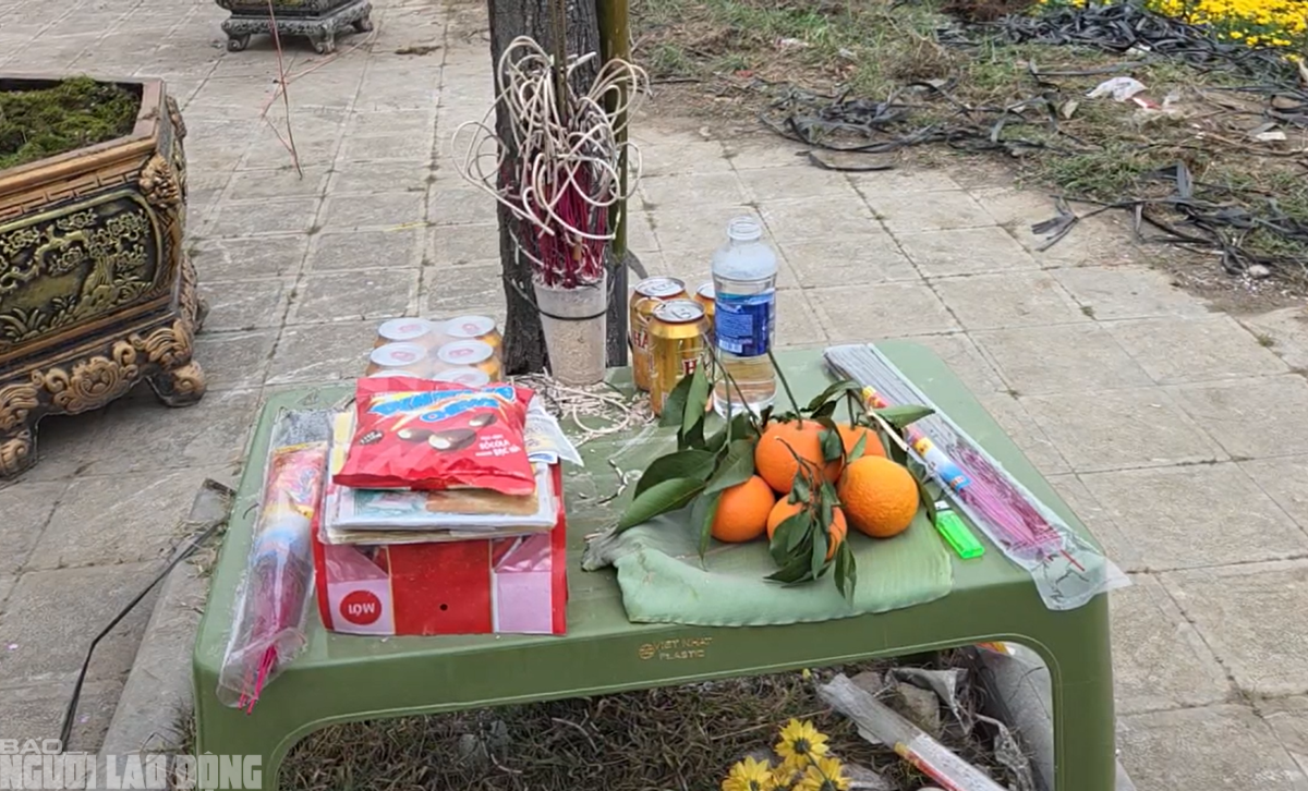 Đ&agrave;o nở thắm phố phường, tiểu thương m&eacute;o mặt chặt bỏ - Ảnh 10.