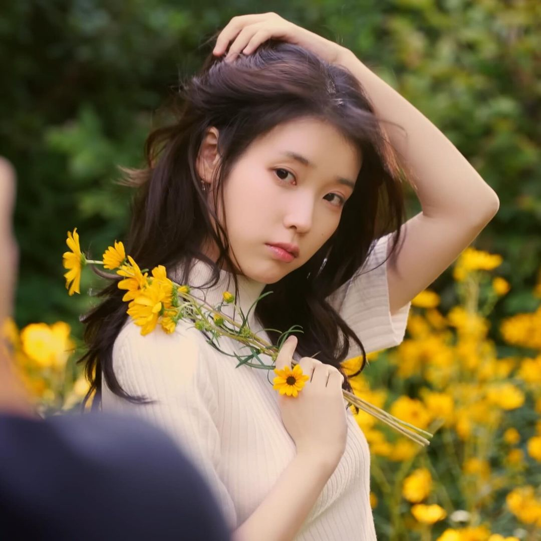 iu-3-17708703019231119560186-1770887122640-17708871228901135877421.jpg
