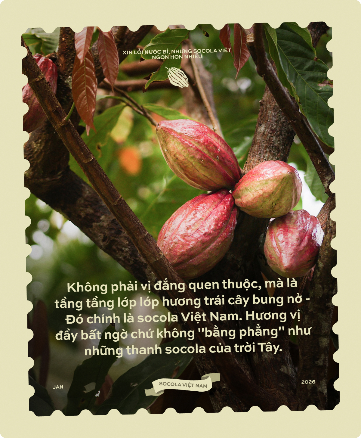 "Xin lỗi nước Bỉ, nhưng Socola Việt ngon hơn nhiều" - Ảnh 1.