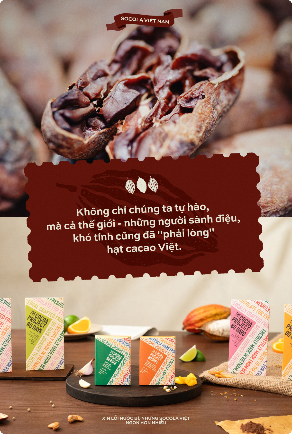 "Xin lỗi nước Bỉ, nhưng Socola Việt ngon hơn nhiều" - Ảnh 2.