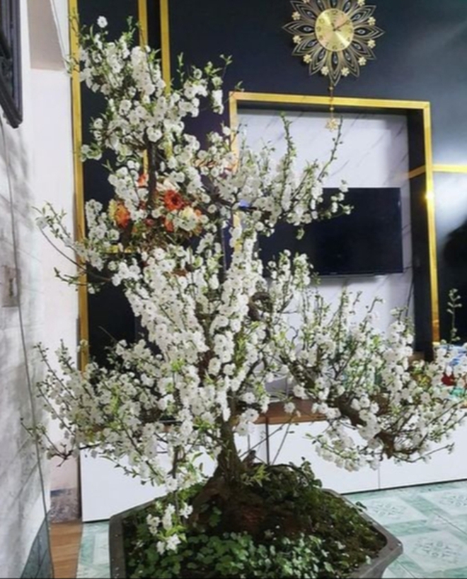 Đã tìm ra Đã tìm ra