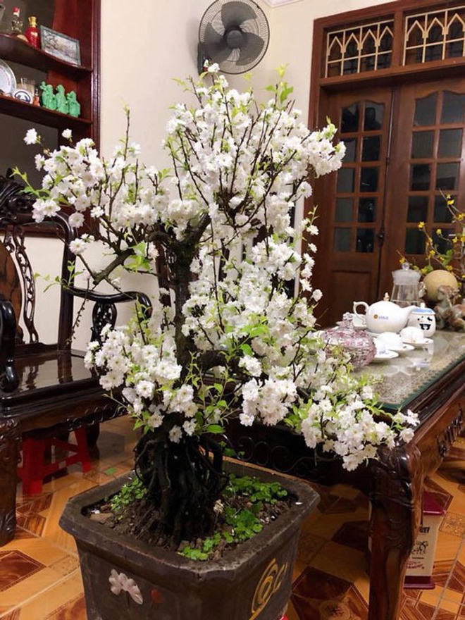 Đã tìm ra Đã tìm ra