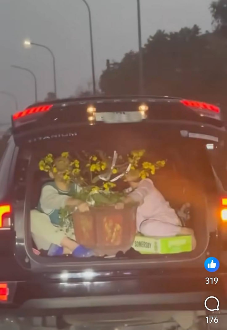 Hình ảnh khiến ai nhìn cũng phải thót tim, dân tình khó hiểu: