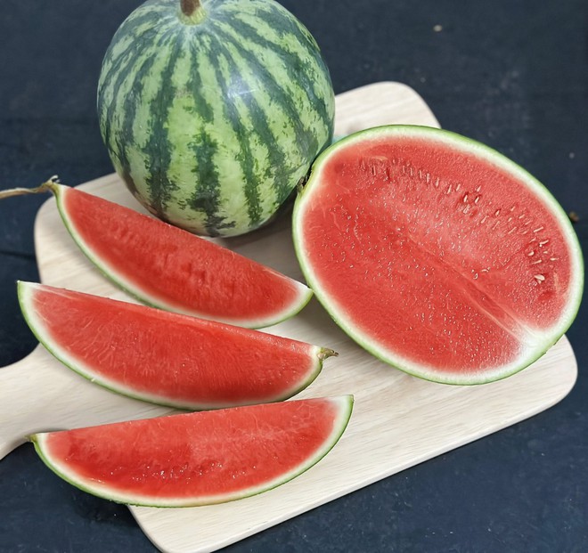 Nh&agrave; c&oacute; em b&eacute; m&ecirc; dưa, mẹ trồng hẳn vườn dưa mấy ngh&igrave;n quả, ngắm cả khu vườn xanh m&aacute;t khiến ai gh&eacute; cũng phải ngỡ ng&agrave;ng- Ảnh 2.