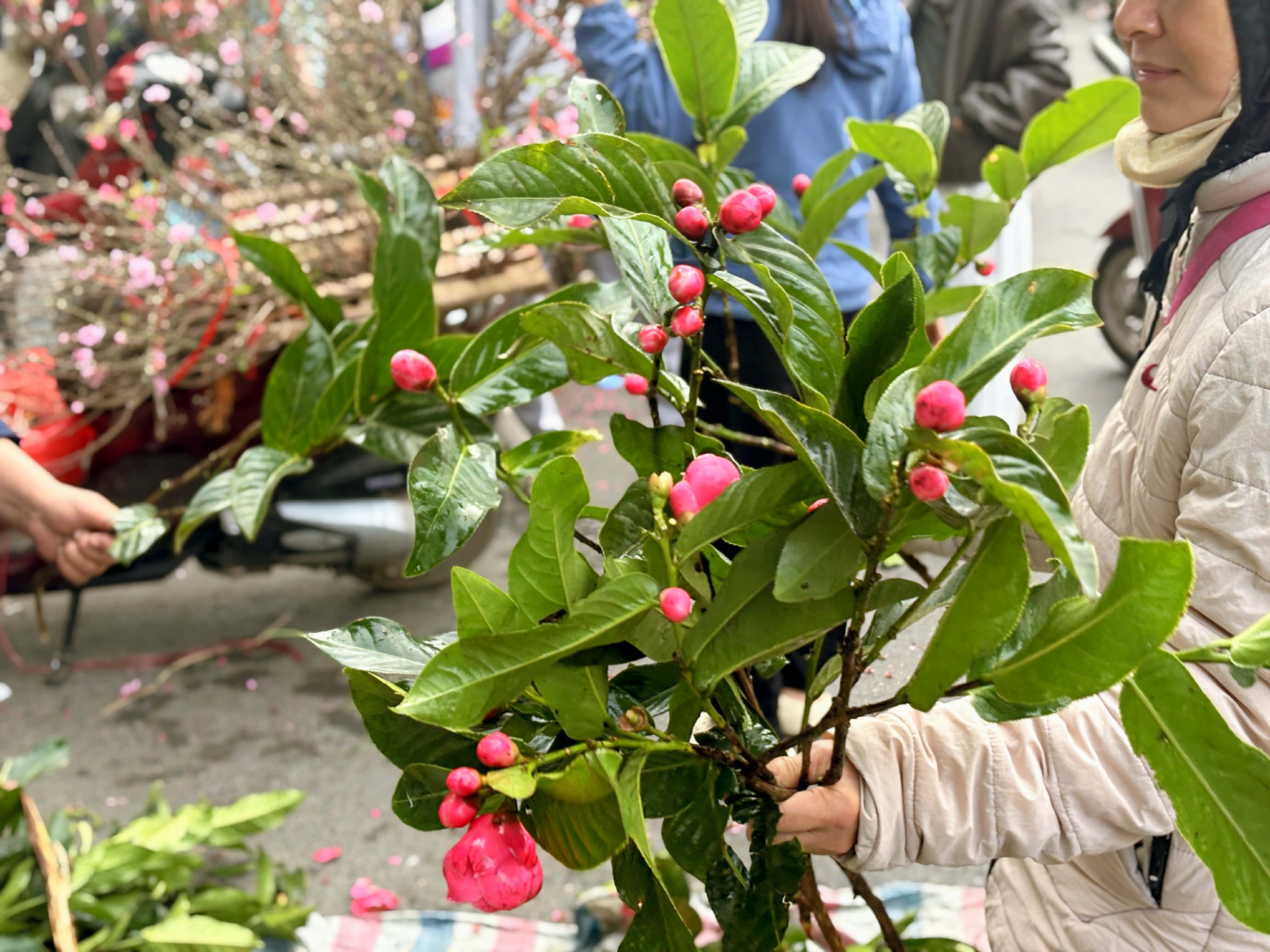 29 Tết tại những khu chợ đậm truyền thống trong phố cổ: Kh&ocirc;ng phải H&agrave;ng B&egrave;, đ&acirc;y mới l&agrave; n&ecirc;n cần đến nếu muốn t&igrave;m kiếm những n&eacute;t truyền thống của Tết xưa  - Ảnh 2.