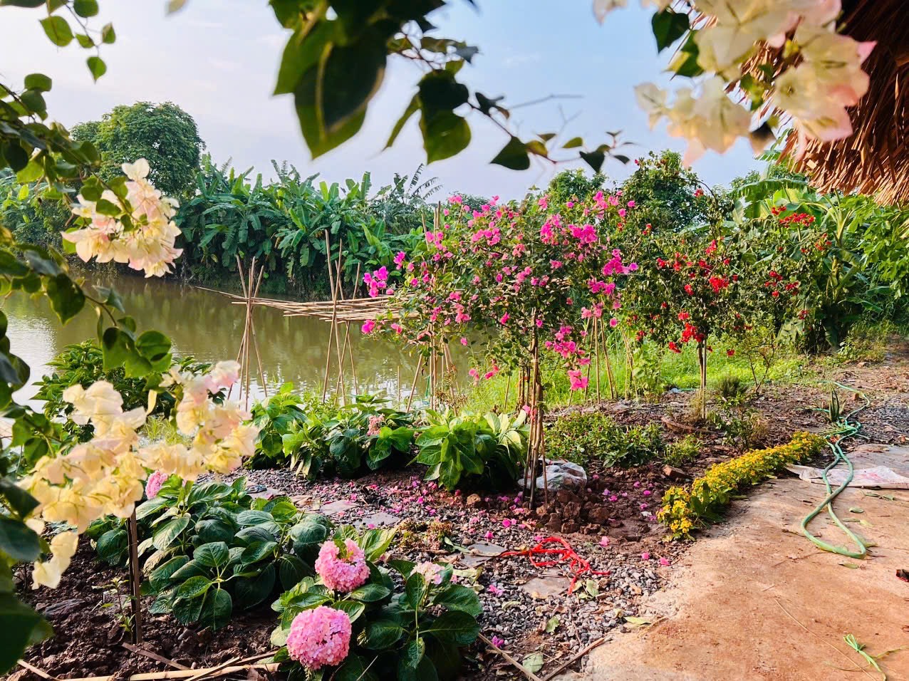 Năm Ất Tỵ ghi nhận một cơn bão mang tên: "Áp-phi-li-ết" - Ảnh 3.