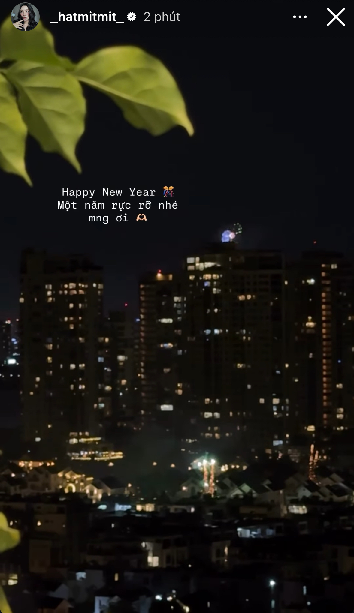 Nh&agrave; tỷ ph&uacute; Johnathan Hạnh Nguyễn mở tiệc linh đ&igrave;nh, cả Việt Nam khoe ph&aacute;o hoa rực rỡ- Ảnh 10.