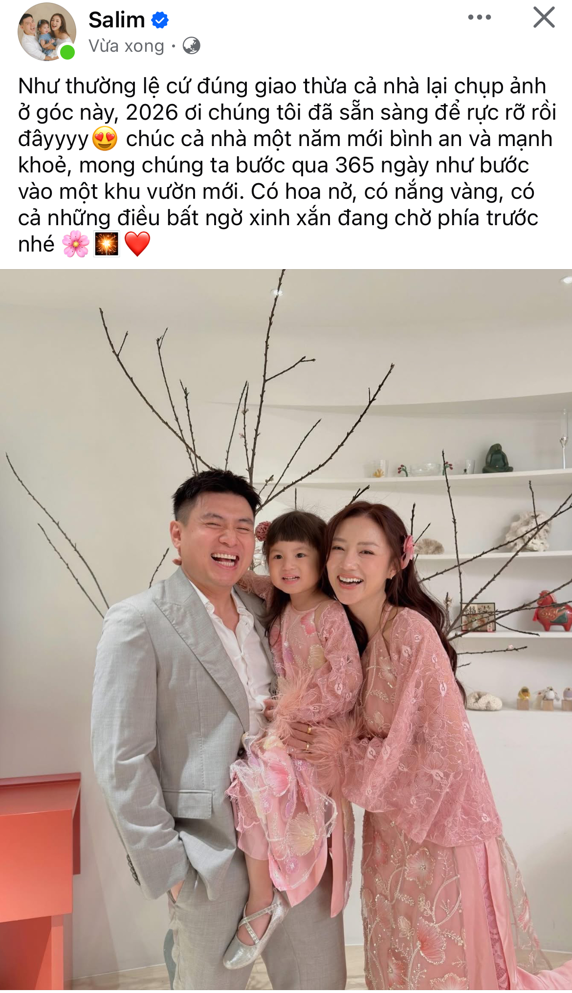 Nh&agrave; tỷ ph&uacute; Johnathan Hạnh Nguyễn mở tiệc linh đ&igrave;nh, cả Việt Nam khoe ph&aacute;o hoa rực rỡ- Ảnh 4.