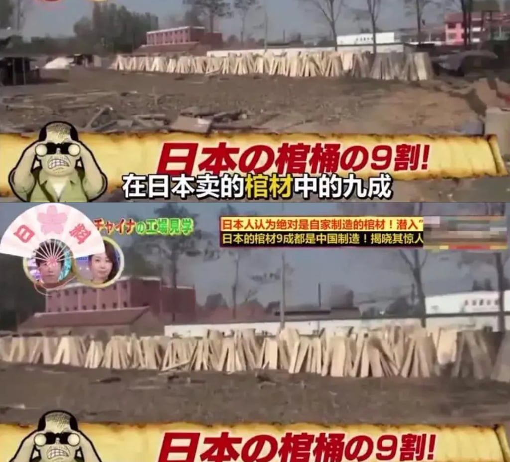 Bỏ nghề gi&aacute;o để đi b&aacute;n quan t&agrave;i: C&ocirc; g&aacute;i trẻ thu 6 triệu USD mỗi năm nhờ xuất khẩu sang ch&acirc;u &Acirc;u - Ảnh 3.