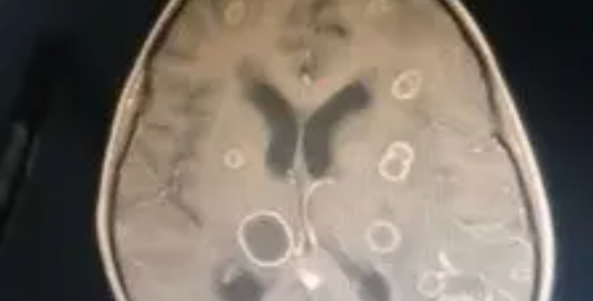 Dọn dẹp nh&agrave; đ&oacute;n Tết, b&eacute; g&aacute;i lớp 2 bị 