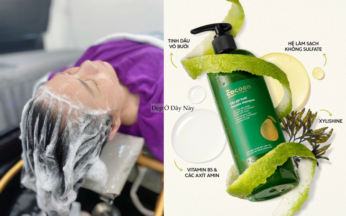 BTV kh&ocirc;ng chọn dầu gội bừa phứa, đ&acirc;y l&agrave; 4 loại t&ocirc;i d&ugrave;ng suốt nhiều năm - Ảnh 2.