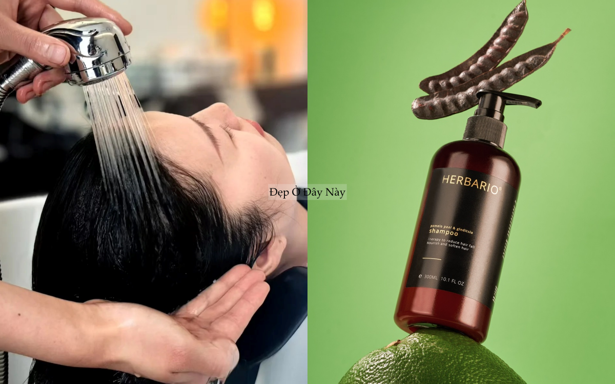 BTV kh&ocirc;ng chọn dầu gội bừa phứa, đ&acirc;y l&agrave; 4 loại t&ocirc;i d&ugrave;ng suốt nhiều năm - Ảnh 3.