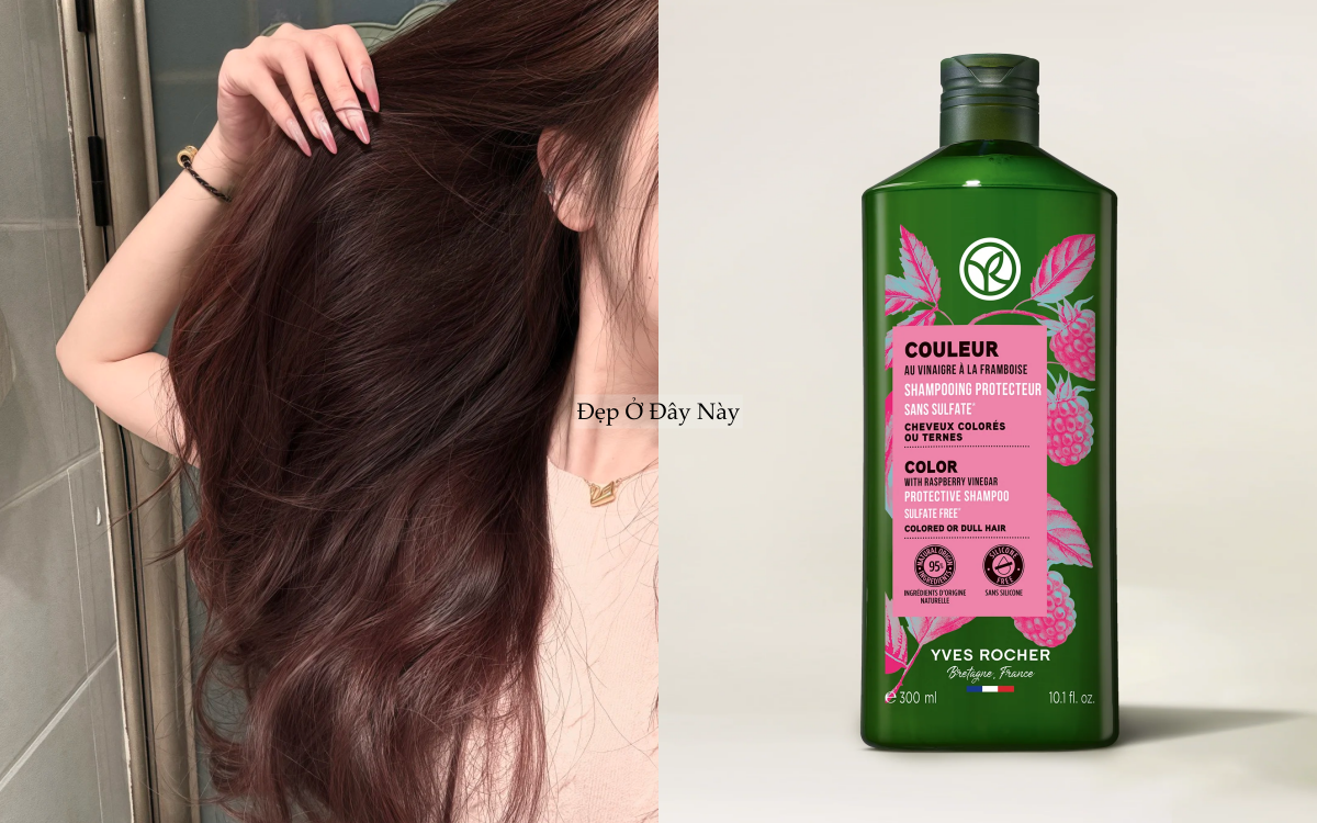 BTV kh&ocirc;ng chọn dầu gội bừa phứa, đ&acirc;y l&agrave; 4 loại t&ocirc;i d&ugrave;ng suốt nhiều năm - Ảnh 6.