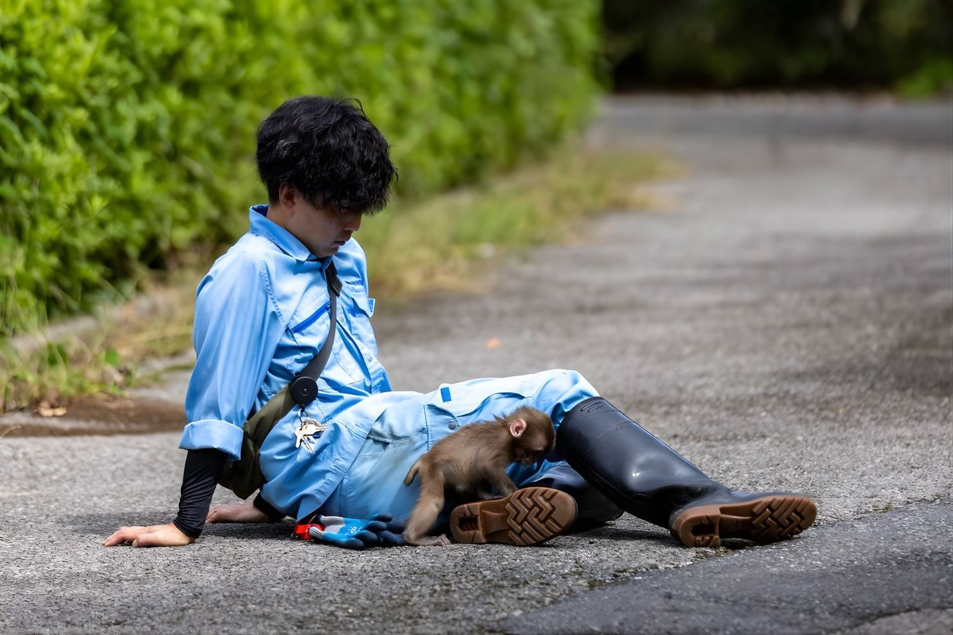 T&igrave;nh trạng hiện tại của ch&uacute; khỉ bị bỏ rơi g&acirc;y sốt to&agrave;n cầu - Ảnh 7.