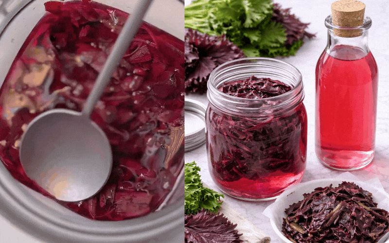 Giấm t&iacute;a t&ocirc; thần th&aacute;nh cho m&acirc;m cơm th&ecirc;m hấp dẫn v&agrave; nhan sắc rạng rỡ - Ảnh 1.