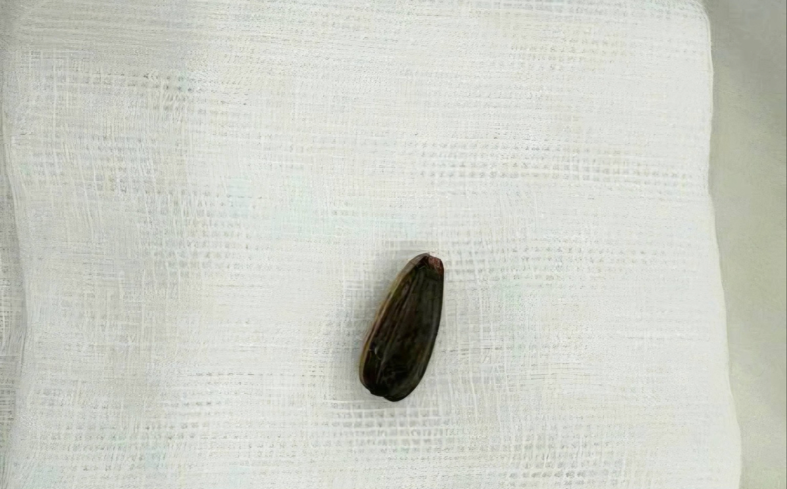 - Ảnh 4. - Ảnh 4.