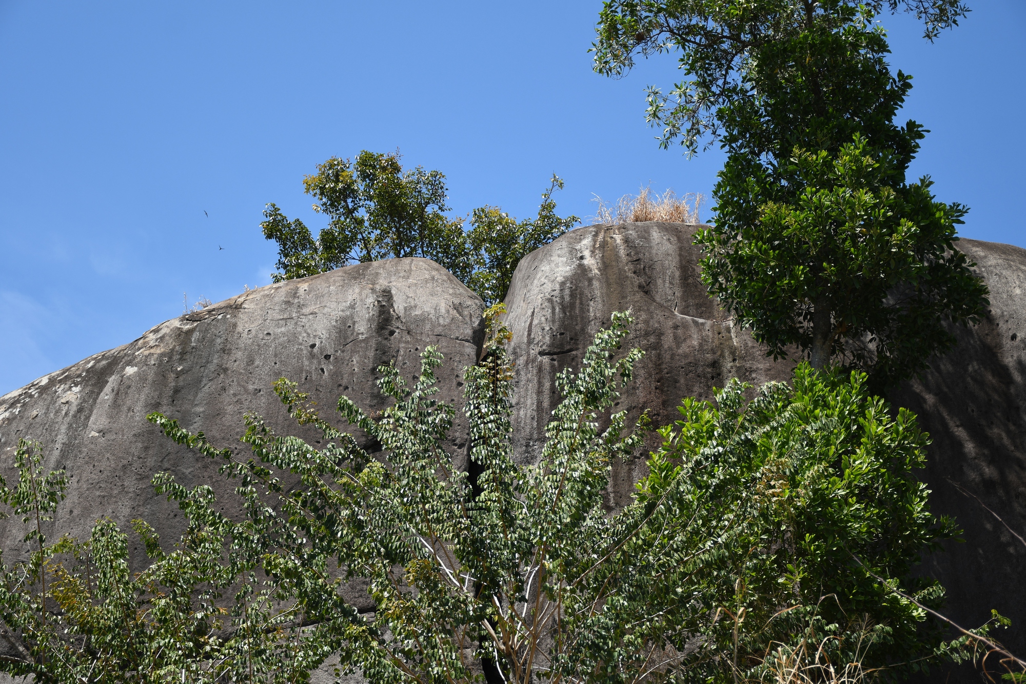 Độc lạ kỳ quan &ldquo;Đ&aacute; Ba Chồng