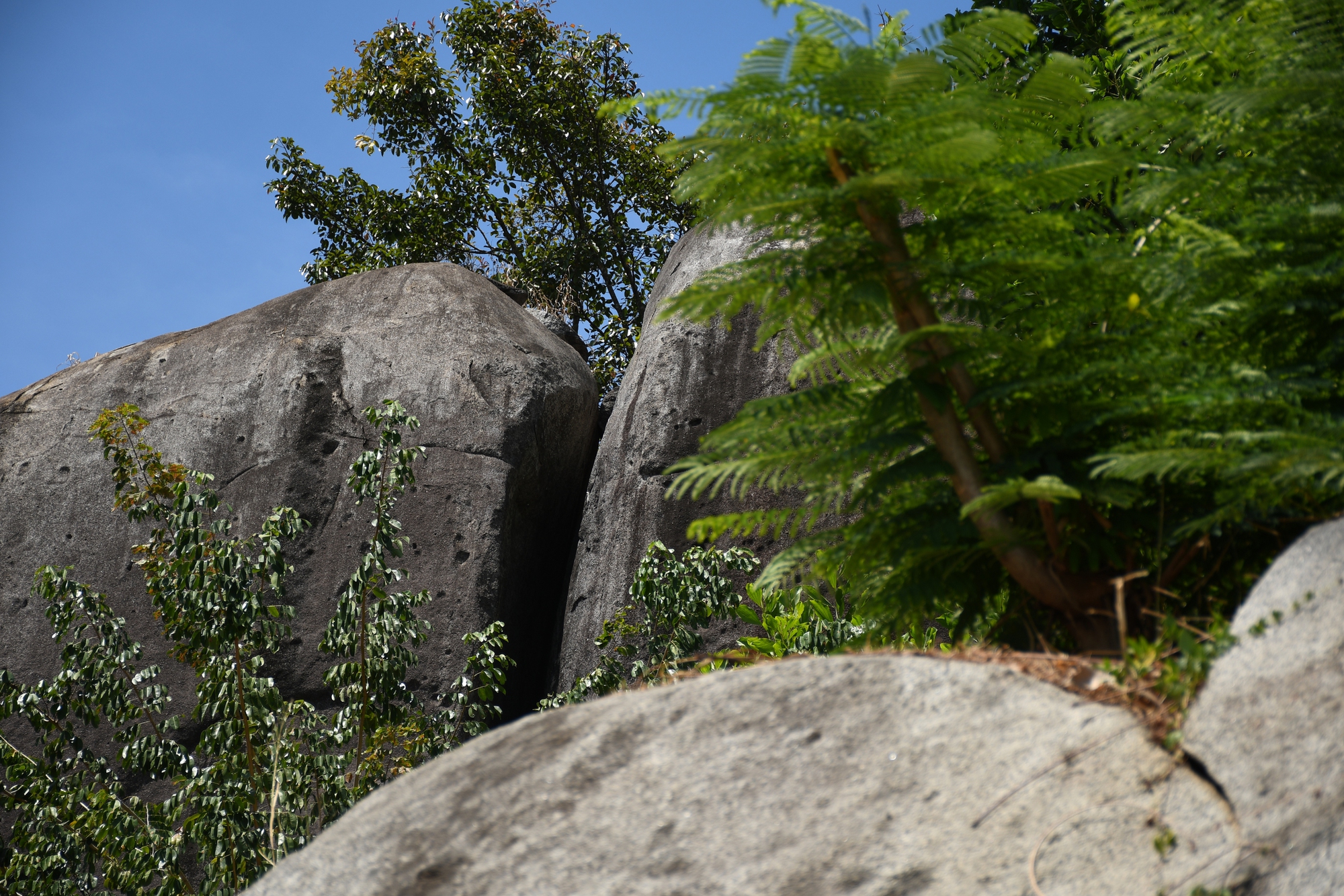 Độc lạ kỳ quan &ldquo;Đ&aacute; Ba Chồng