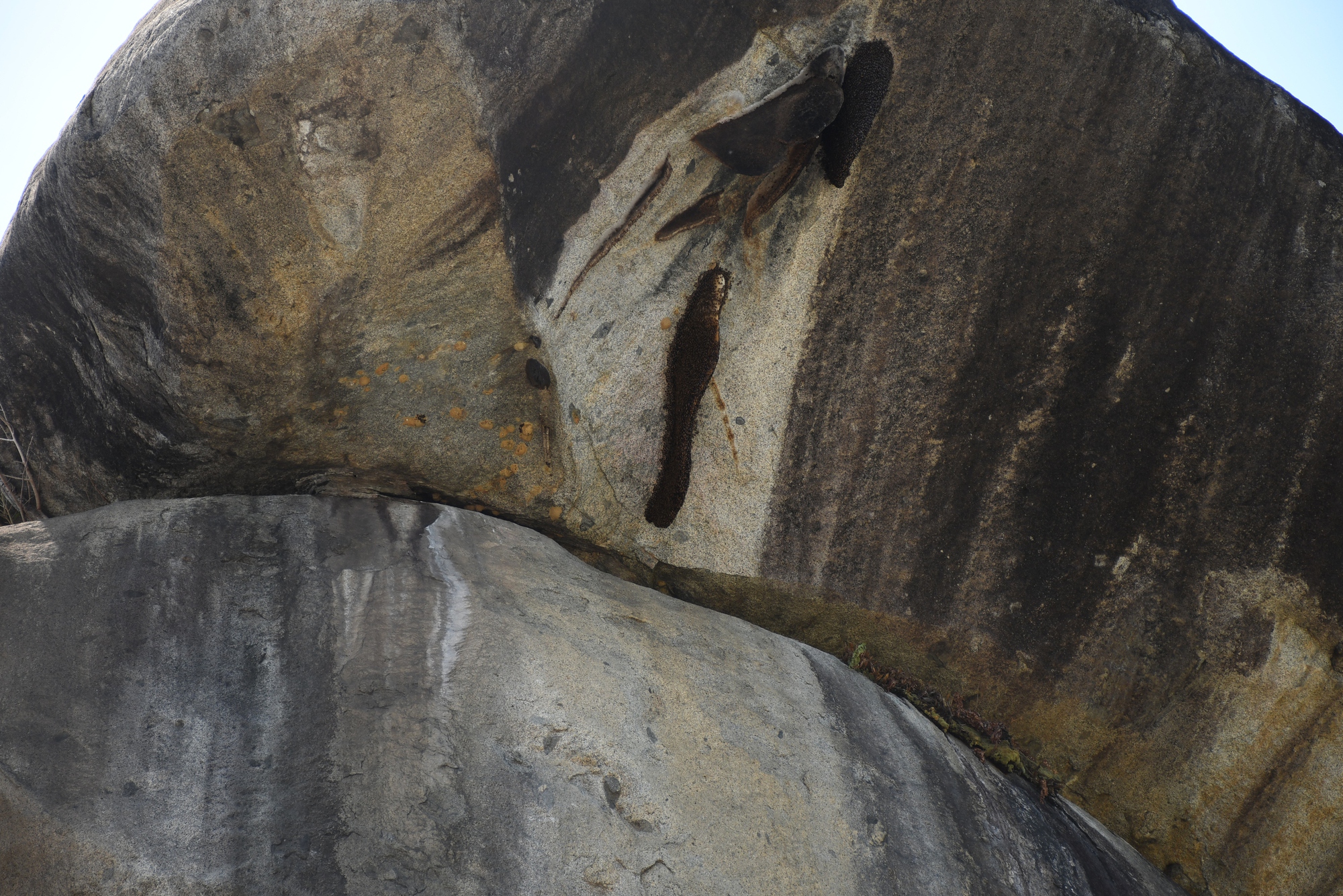 Độc lạ kỳ quan &ldquo;Đ&aacute; Ba Chồng