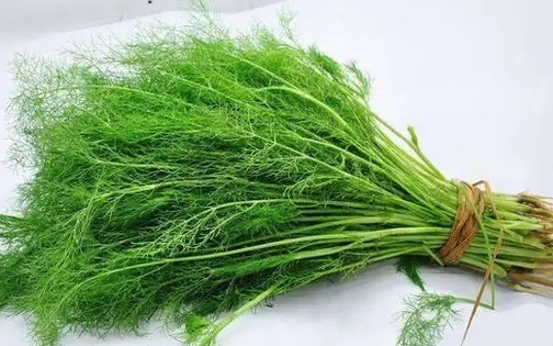 Uống g&igrave; để cơ thể 'nhẹ g&aacute;nh' sau chuỗi tiệc t&ugrave;ng gi&agrave;u đạm, nhiều dầu mỡ? - Ảnh 1.