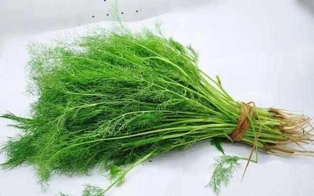 Rửa mặt vào buổi sáng và buổi tối có sai không? Các bác sĩ khuyên: Sau 60 tuổi, tốt nhất nên thay đổi 4 thói quen rửa mặt - Ảnh 4.