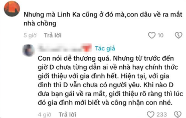Gia đ&igrave;nh n&oacute;i g&igrave; về mối quan hệ của Dương Domic v&agrave; Linh Ka?- Ảnh 2.
