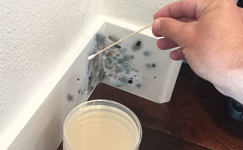 Thời tiết miền Bắc bước v&agrave;o chuỗi ng&agrave;y nồm ẩm: Cẩn trọng với nhiều bệnh l&acirc;y truyền - Ảnh 2.