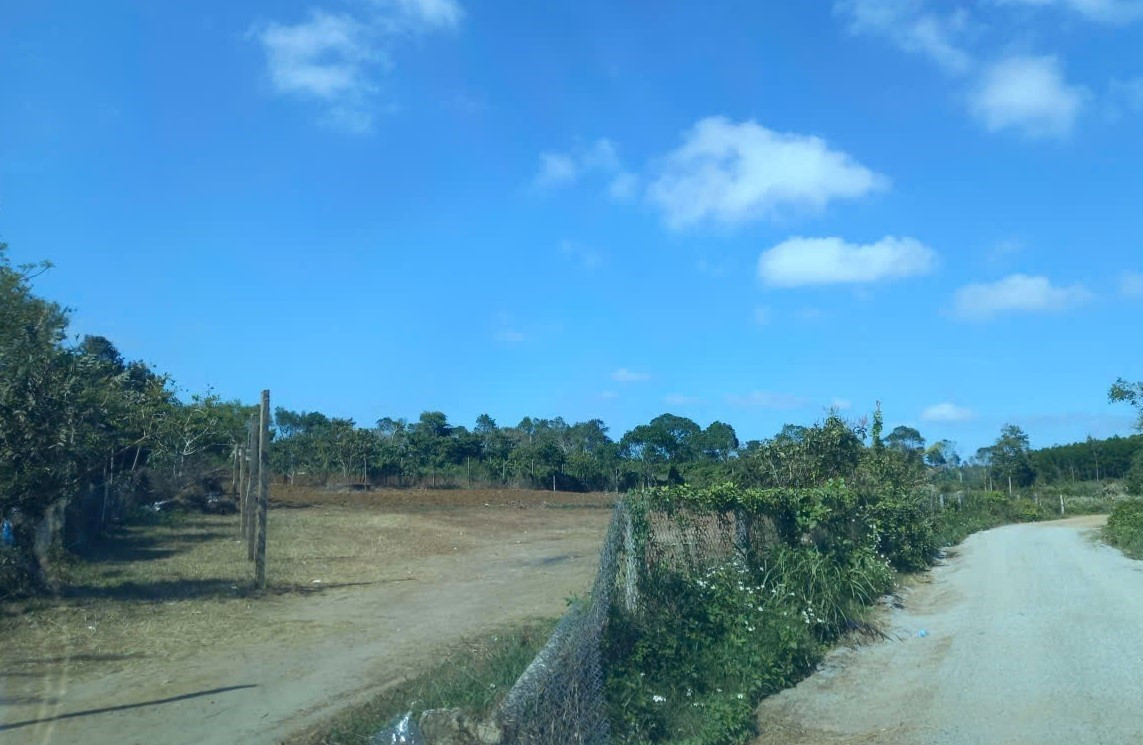 Diễn biến mới vụ b&atilde;i giữ xe tự ph&aacute;t thu ph&iacute; kh&ocirc;ng ph&aacute;t v&eacute; tại Đắk Lắk - Ảnh 1.