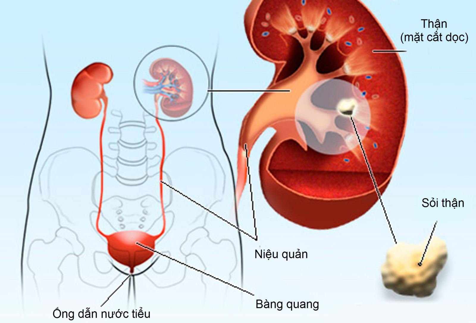3 tin nhắn giống hệt nhau và nỗi xót xa của một bác sĩ đầu năm mới: 