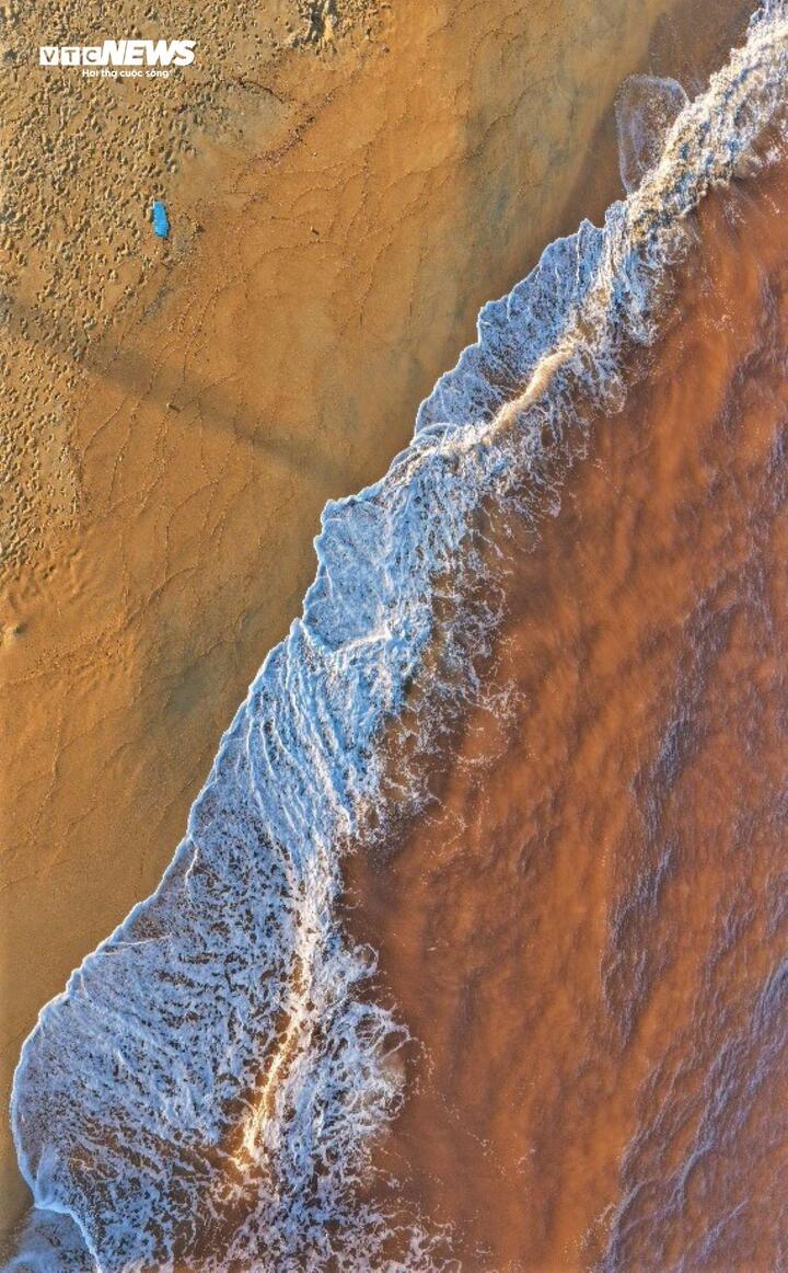 Thủy triều đỏ hiếm gặp tại biển Gia Lai g&acirc;y x&ocirc;n xao dư luận - Ảnh 8.