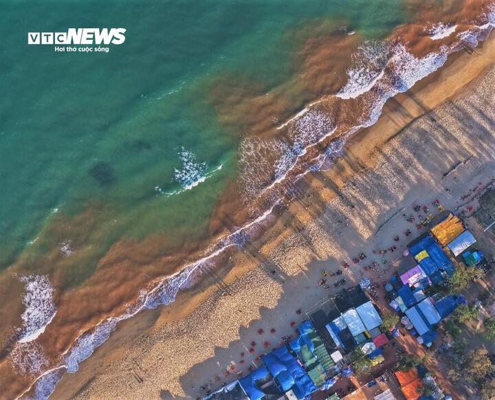 Thủy triều đỏ hiếm gặp tại biển Gia Lai g&acirc;y x&ocirc;n xao dư luận - Ảnh 9.