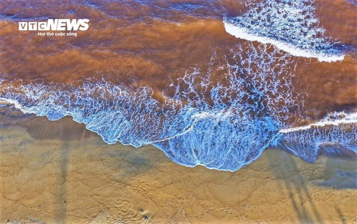 Thủy triều đỏ hiếm gặp tại biển Gia Lai g&acirc;y x&ocirc;n xao dư luận - Ảnh 3.