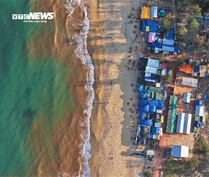 Thủy triều đỏ hiếm gặp tại biển Gia Lai g&acirc;y x&ocirc;n xao dư luận - Ảnh 4.