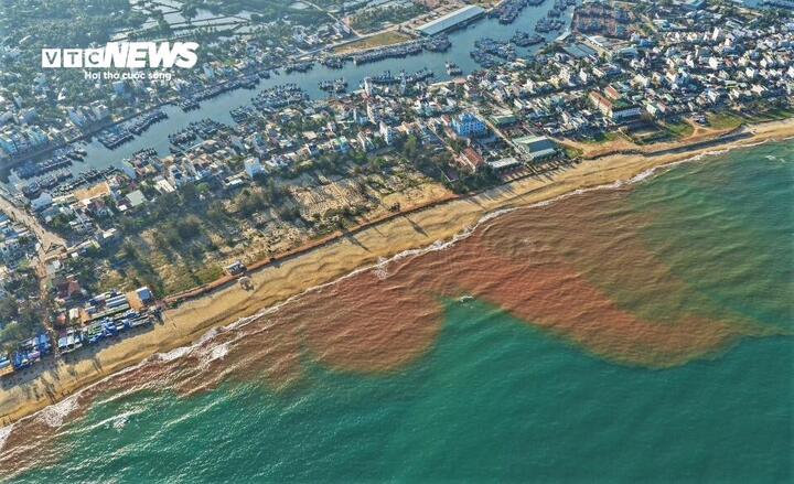 Thủy triều đỏ hiếm gặp tại biển Gia Lai g&acirc;y x&ocirc;n xao dư luận - Ảnh 5.