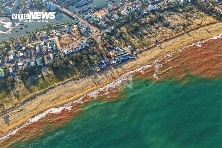 Thủy triều đỏ hiếm gặp tại biển Gia Lai g&acirc;y x&ocirc;n xao dư luận - Ảnh 1.