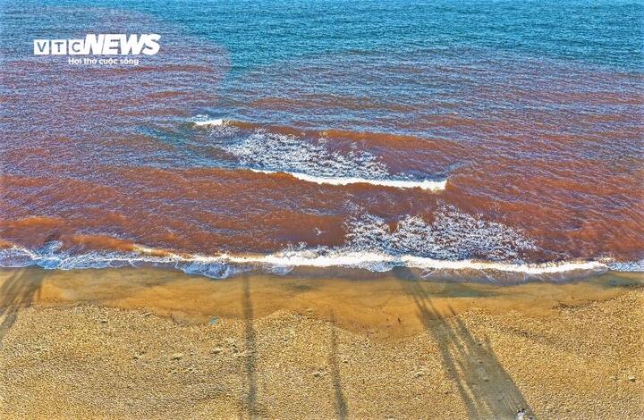 Thủy triều đỏ hiếm gặp tại biển Gia Lai g&acirc;y x&ocirc;n xao dư luận - Ảnh 7.