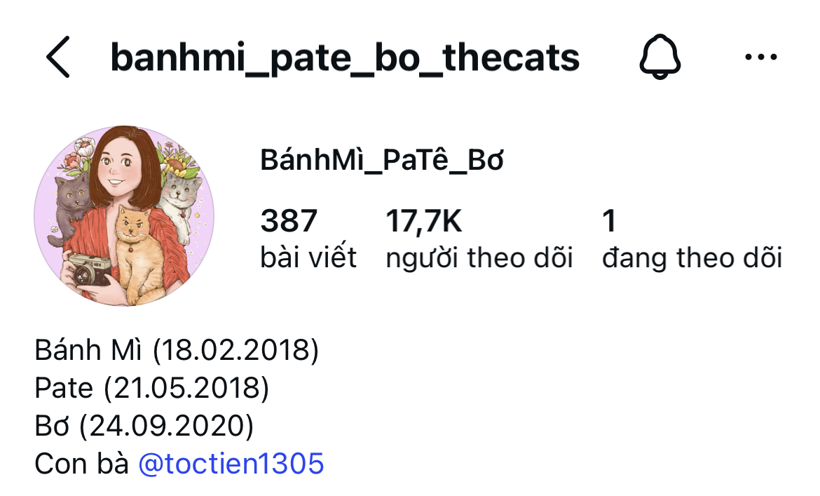 Điều khó phân chia của Tóc Tiên và Touliver sau ly hôn - Ảnh 2.